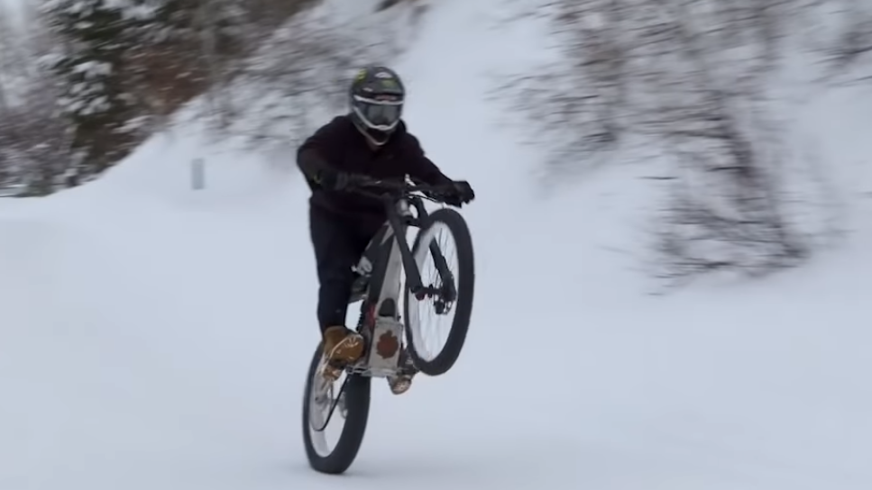 Harley-Davidson electric Mountain Bike